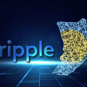 Ripple Reported to Be Building National Stablecoin for Republic of Palau