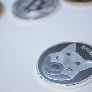 ヒビシイン () 股价大涨，投机者蜂拥自救