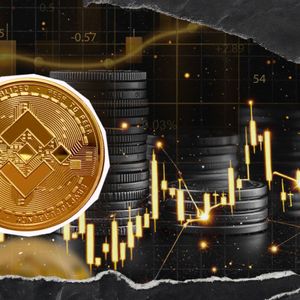 BNB Joins Roster of Altcoins With Own ETFs