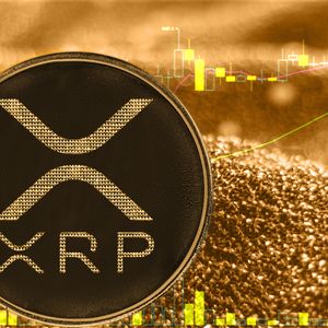 Biggest XRP Ledger Spike Recorded in Last Weeks Brings Bullishness Back to Network