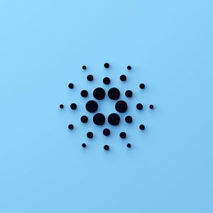 Cardano Summit Canceled After Treasury Funding Fails