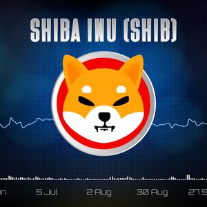 Shiba Inu (SHIB) Key Bullish Metric Just Spikes 20%, but There's Silver Lining