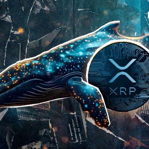 Whales Go on XRP Buying Spree