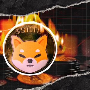 Shiba Inu's Burn Engine Cools Off With $5 in SHIB Burned in 24 Hours