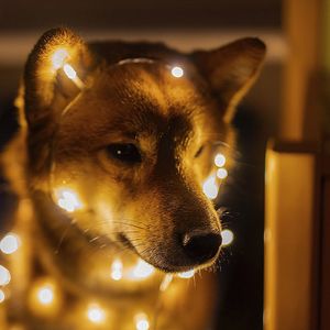 Shiba Inu (SHIB) Forming Reversal Pattern Ahead Of New Year