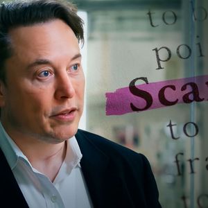 Elon Musk Dogecoin Scam Promoted by Hacked Account of U.K. MP