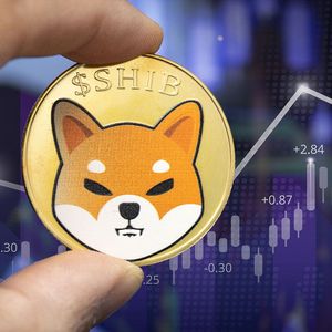SHIB Gains 28% Against DOGE In December As Major Release Is Expected
