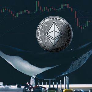 Almost 1 Million Ethereum Was Sold By Whales, Causing Drop In December