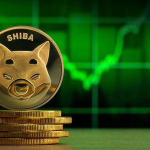 SHIB Price Goes Green as Coin Becomes One of The Most Purchased Assets