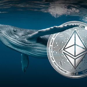 Dormant Ethereum Wallet Awakens After 11 Years