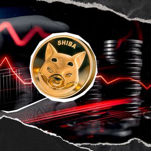 145 Million Shiba Inu Netflow Flashes Bullish Signal