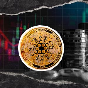 Cardano Spot Flows Drop 1917.11% in Matter of Hours, Market Signal?