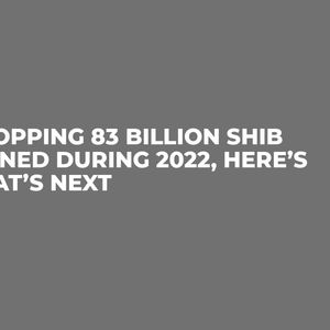 Whopping 83 Billion SHIB Burned During 2022, Here’s What’s Next