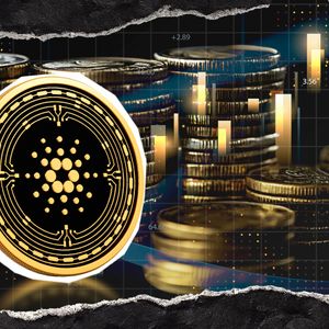 Cardano's Biggest Turning Point? Shelley Turns 6 Today