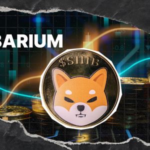 Shiba Inu's Shibarium Posts 95% Drop in DeFi Activity: What's Behind It?