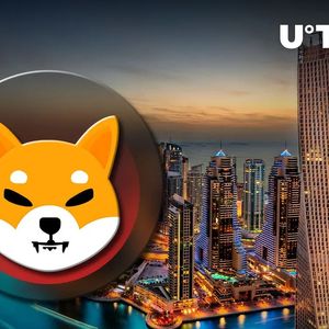 Big Win for SHIB: Dubai Airline Opens Crypto Bookings With Shiba Inu, 29 Other Coins