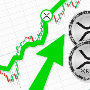 Four Years of Red: Why XRP Finally Has Bull Chance This August
