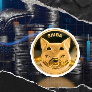 SHIB Exchange Flow Falls 97%: What's Driving Bears?