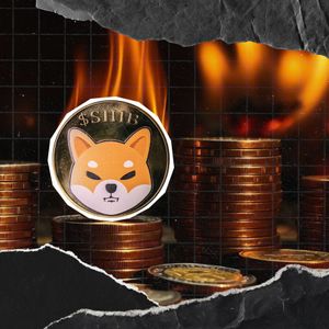 Shiba Inu Burn Rate Jumps 405% With 124,023,282 SHIB Destroyed