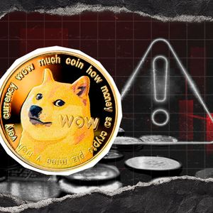 Dogecoin Contributor Issues Critical Warning to Coldcard Wallet Users
