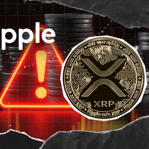'It's a Scam!': Ripple's David Schwartz Shatters New Clone Site Targeting XRP Holders