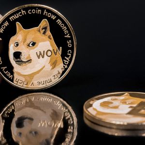 Dogecoin Foundation Announces New Development Fund