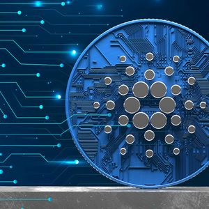 Cardano's DeFi Industry Might Grow Substantially In 2023, Here's How
