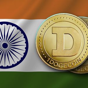 Dogecoin (DOGE) Becomes Most Held Asset In India’s Largest Crypto App