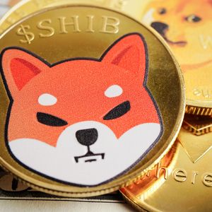 Shiba Inu (SHIB) Mengamankan Arus Keluar Bullish dengan Kenaikan 79% dalam 24 Jam