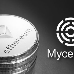 Mycelium DeFi Exploited Thanks To Price Feed Issues