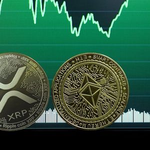 XRP and Ethereum (ETH) Communities Are Euphoric, Data Shows