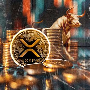 Bitwise Buys Over $19 Million of XRP