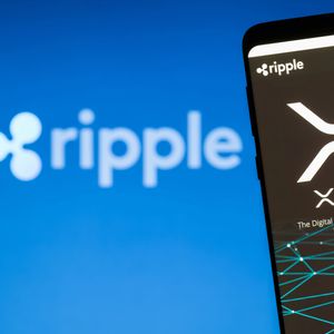 Ripple Pioneer Approves: Nik Bougalis Returns to Rewrite XRP Ledger Core