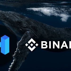 MATIC Whale Moves Almost $8 Million To Binance, Price Reacts