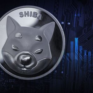 SHIB Trading Volume Spikes 220% As Price Goes Up
