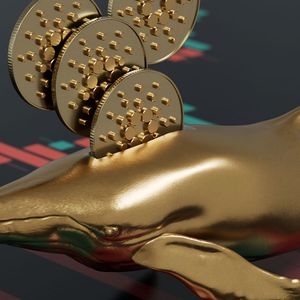 Cardano (ADA) Seeing Large Increase in Whale Transactions