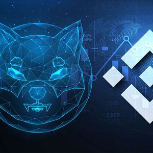 4 Trillion SHIB Transferred Out of Binance, Here's What is Going On?