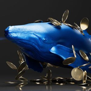 Whales Moving Stablecoins to Exchanges Here is What is Likely Going On