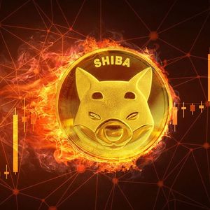 SHIB Burn Rate 5,761% Up As Shiba Inu Surpasses Wrapped Bitcoin (WBTC) By This Metric