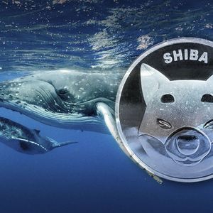 Whopping 3,96 Trillion Shiba Inu (SHIB) Added by Whales In Just One Week