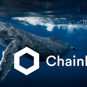 Are Whales Pushing ChainLink (LINK) Upwards? Here's What Data Shows