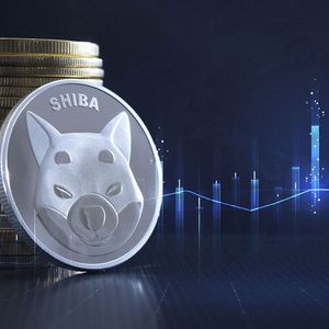 Shiba Inu (SHIB) Up 11% Against Dogecoin (DOGE) Thanks to This Flaw