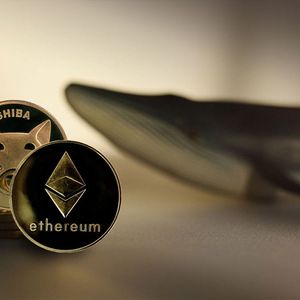 Why Shiba Inu (SHIB) is Go-to Cryptocurrency for Big Ethereum Whales