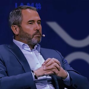 Huge XRP Transfers Occurred After Brad Garlinghouse’s Statement on XRP’s Importance
