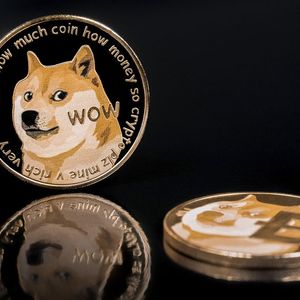Doge Cofounder Suggests Crypto Moguls Shorting Dogecoin Likely to Lose, Here's Why
