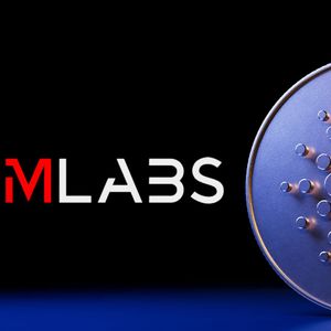 Cardano Developer Aims to Revolutionize Crypto Auctions with MLabs