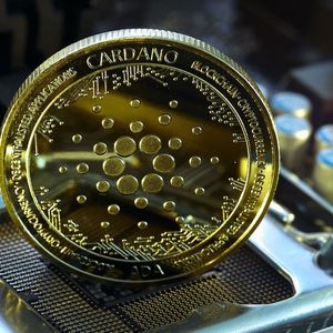 Did Half of Cardano Network Nodes Actually Go Offline? Here’s What Happened