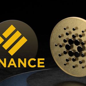 Cardano To Get Support of Binance's BUSD Thanks to This Bridge