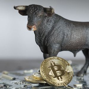 Bitcoin (BTC) Is Now In Bull Phase, Here's Why: CryptoQuant CEO