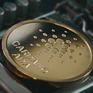 Cardano Added 50K New Wallets YTD, is ADA Price Set to Take Off?